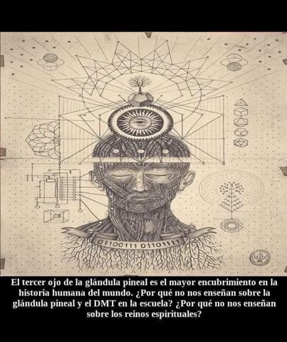 Mente y Meditación