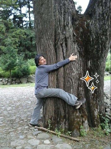 Meditación en el Bosque